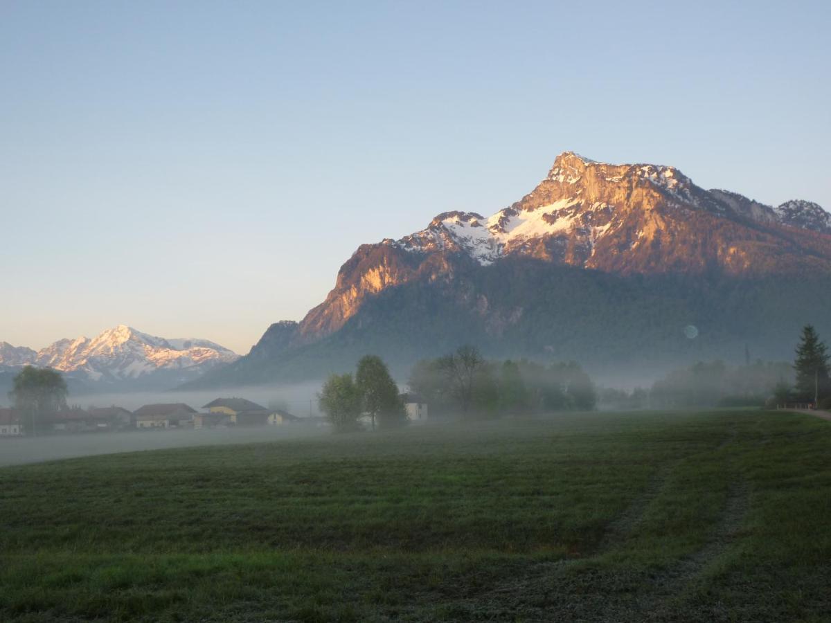 Top-2 Zimmer Ferienwohnung In Salzburg Mit Terrasse エクステリア 写真